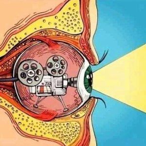 Meet your Posher, Dani